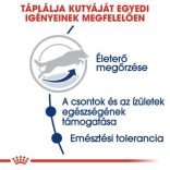 Royal Canin Maxi Adult 5+ 4 kg