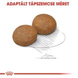 Royal Canin Maxi Adult 5+ 4 kg