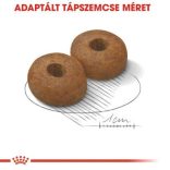 Royal Canin Maxi Ageing 8+ 15 kg