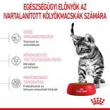 Royal Canin Feline Kitten Sterilised 2 kg
