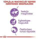 Royal Canin Sterilised aszpikban 85 g