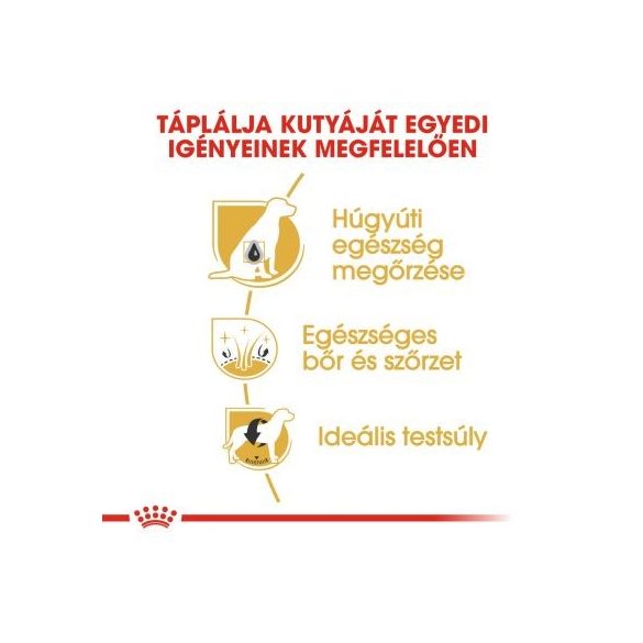 Royal Canin Bichon Frise Adult 500 g