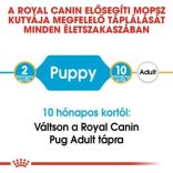 Royal Canin Pug Junior 500 g