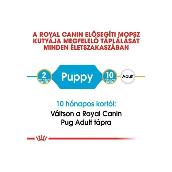 Royal Canin Pug Junior 500 g