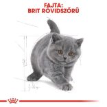 Royal Canin British Shorthair Kitten 400 g