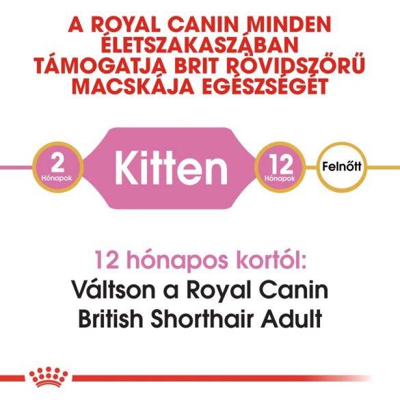 Royal Canin British Shorthair Kitten 2 kg