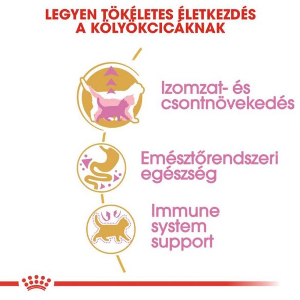 Royal Canin British Shorthair Kitten 2 kg