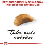 Royal Canin British Shorthair Kitten 2 kg