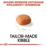 Royal Canin Golden Retriever Puppy 3 kg