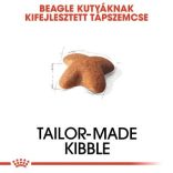 Royal Canin Beagle Adult 3 kg