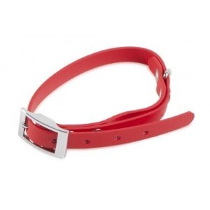 Firedog BioThane nyakörv Basic 19 mm 50-58 cm red