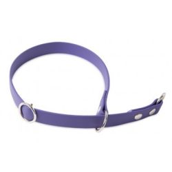 Firedog BioThane nyakörv Sport 19 mm 35 cm violet