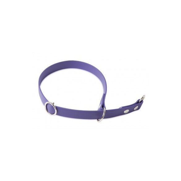 Firedog BioThane nyakörv Sport 19 mm 35 cm violet