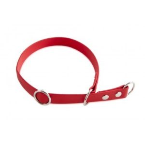 Firedog BioThane nyakörv Sport 19 mm 40 cm red