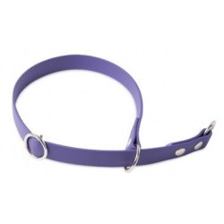 Firedog BioThane nyakörv Sport 19 mm 50 cm violet