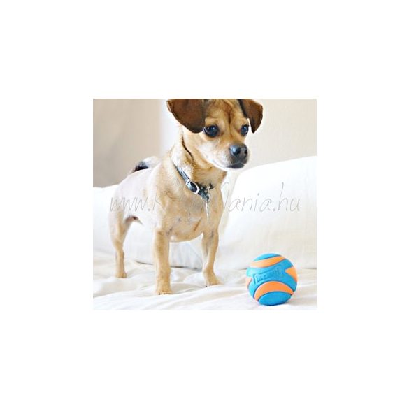 Kutya-Chuckit-Ultra-Squeaker-labda-nagy