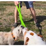 Chuckit! Floppy Tug S