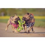 Chuckit! Floppy Tug S