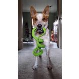 Chuckit! Floppy Tug L