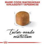 Royal Canin Maine Coon KITTEN 2 kg