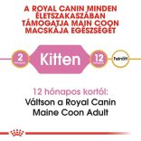 Royal Canin Maine Coon KITTEN 2 kg