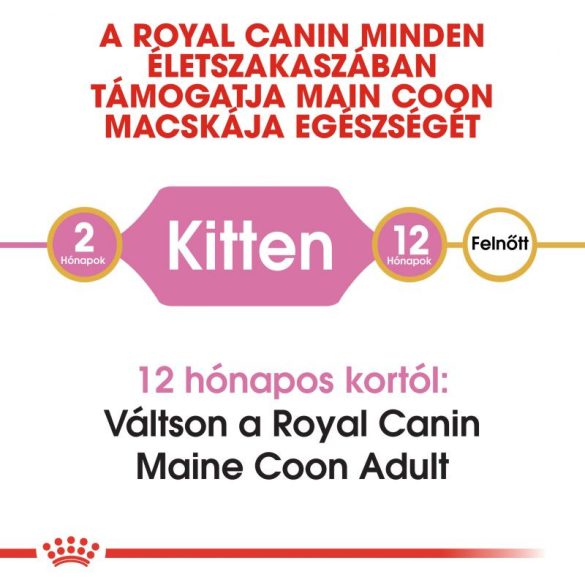 Royal Canin Maine Coon KITTEN 2 kg