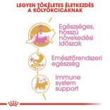 Royal Canin Maine Coon KITTEN 2 kg