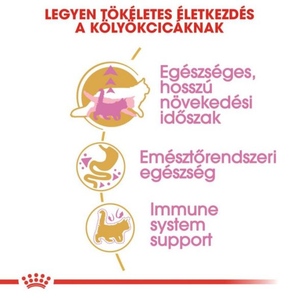 Royal Canin Maine Coon KITTEN 2 kg