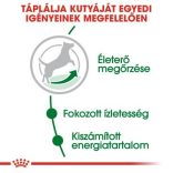 Royal Canin Mini Adult 8+ 8 kg