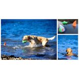 Chuckit! Amphibious Duck Diver Kacsa medium