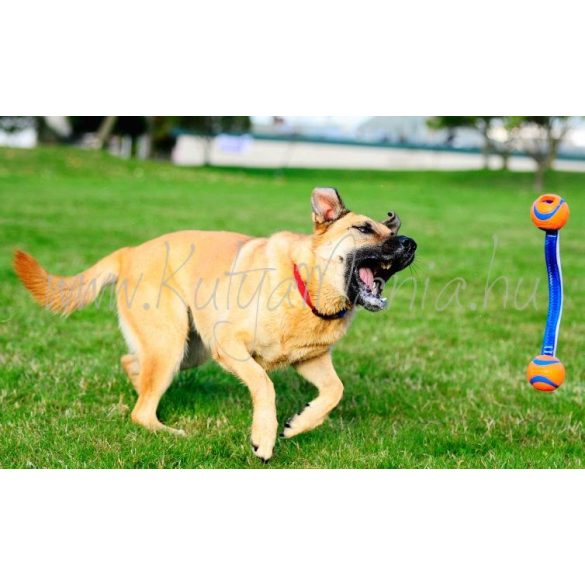 Chuckit! Ultra Tug Duo Medium