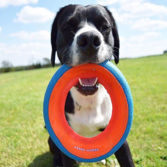 Chuckit! Wheel Fetch Dobó karika