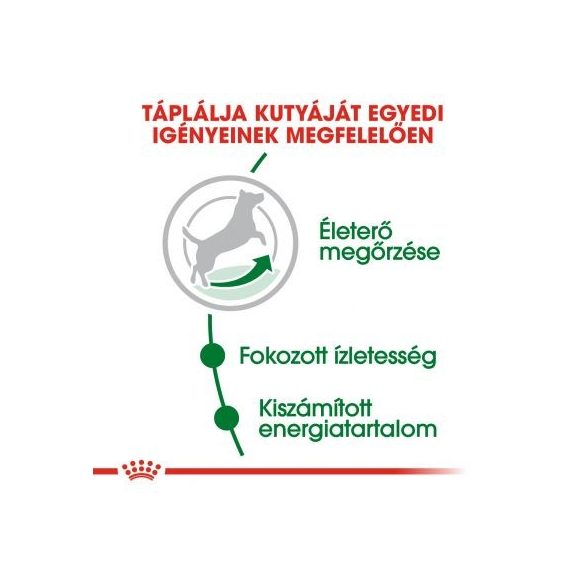 Royal Canin Mini Adult 8+ 2 kg