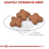 Royal Canin Mini Adult 8+ 0,8 kg
