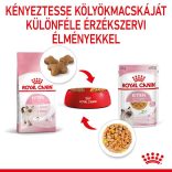 Royal Canin Feline Kitten aszpikban 85 g