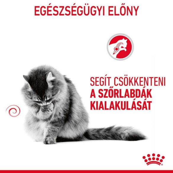 Royal Canin Cat Hairball Care 400 g