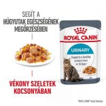 Royal Canin Urinary Care 85 g
