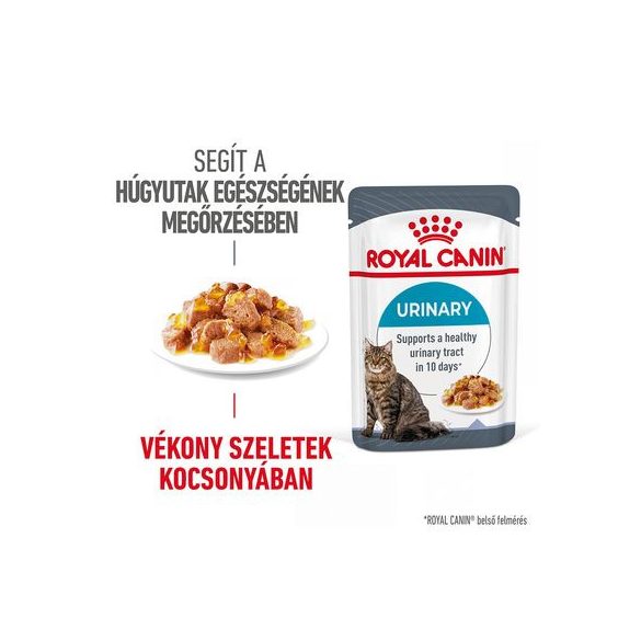 Royal Canin Urinary Care 85 g