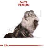 ROYAL CANIN CAT Breed PERSIAN ADULT 85g