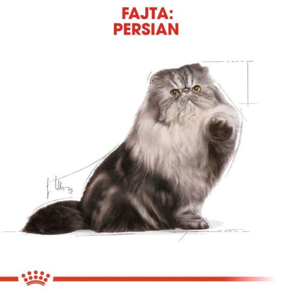 ROYAL CANIN CAT Breed PERSIAN ADULT 85g