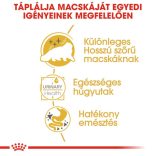 ROYAL CANIN CAT Breed PERSIAN ADULT 85g