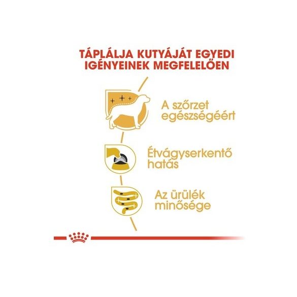 Royal Canin YORKSHIRE TERRIER ADULT  85 g 