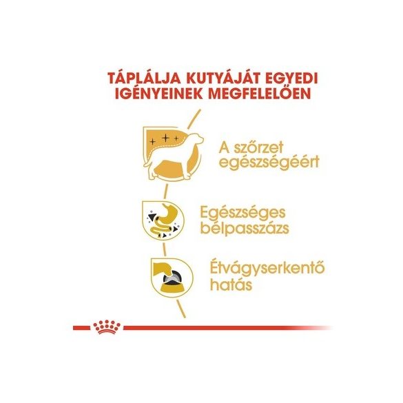 Royal Canin CHIHUAHUA ADULT 85 g