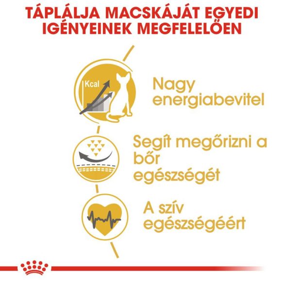 Royal Canin Sphynx ADULT 2 kg