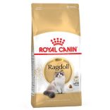Royal Canin Ragdoll ADULT 2 kg