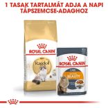 Royal Canin Ragdoll ADULT 2 kg