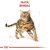 Royal Canin Bengal ADULT 0,4 kg