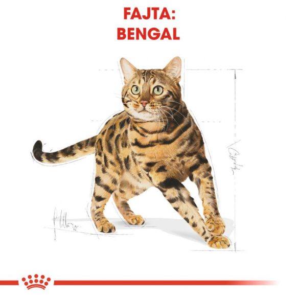 Royal Canin Bengal ADULT  400 g