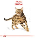 Royal Canin Bengal ADULT  10 kg