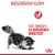 Royal Canin Digestive Care 10 kg